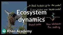Ecosystem dynamics: Clark’s nutcrackers and the white bark pine | Khan Academy