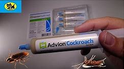 Advion Roach Bait Gel - Kills roach infestations fast ** UPDATED OCT 1 2023 ** LINK UPDATED 8/2021