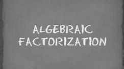 Math Terms of Algebraic Factorization