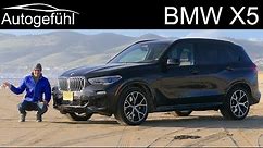 BMW X5 FULL REVIEW V8 50i - Autogefühl