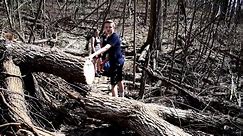 Tree Revenge Service Project - Trail chain saw - Scout Eric Adventures