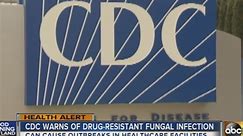 cdc warns of fungal infection
