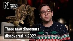 Three new dinosaur species discovered in 2022 | Natural History Museum