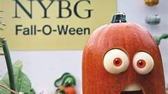 Professional Pumpkin Carver creates Halloween displays for the New York Botanical Garden!