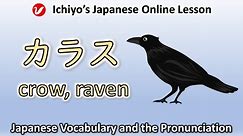 カラス (karasu) | crow, raven | Japanese Vocabulary and the Pronunciation