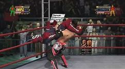 TNA Impact Ultimate X Match