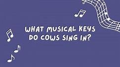 Cheesy, LOL Music Jokes Your Students Will Love