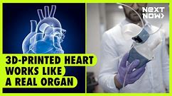 3D-printed heart works like a real organ | Next Now