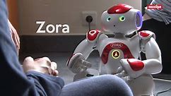 Zora, le petit robot social
