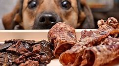Homemade Puppy Food Recipes: Vet-Approved – Top Dog Tips