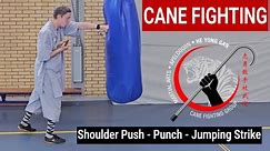 Cane Ryu Holland: Shoulder Push - Punch - Jumping Strike - Martial Arts