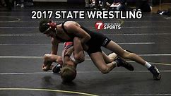 2017 State wrestling championships