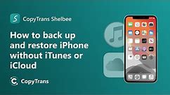 How to backup iPhone to computer without iTunes or iCloud (and then restore it)