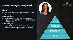 The Data-Information-Knowledge-Wisdom (DIKW) Pyramid in AI: A Guide for Investors