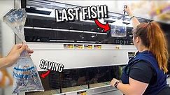 SAVING The LAST FISH Ever SOLD At WALMART!! (Almost Caught)