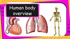 Science - Human Body Introduction (Our body parts, organs and health basics for children) - English
