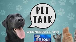 Pet Talk: Teaching kids how to be safe around pets