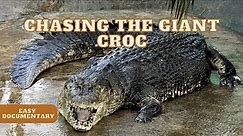 Chasing the Giant Monster Crocodile 🐊 - Full Easy Documentary
