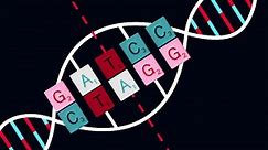 The science behind genetic engineering