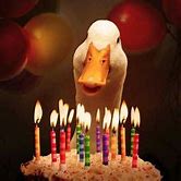 Image result for duck birthday