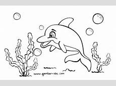 Gambar Kartun Ikan Bliblinews Lumba Belajar Mewarnai Cupang