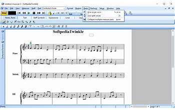 Notation Musician screenshot #1