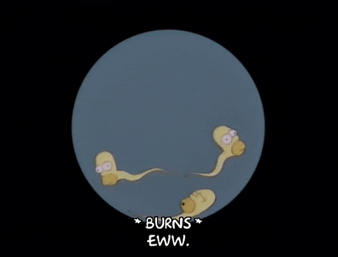 Homer simpson sperm