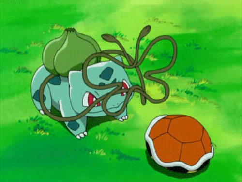 Bulbasaur And Squirtle 13