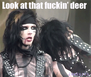 Veil Brides Share Your Thoughts 110