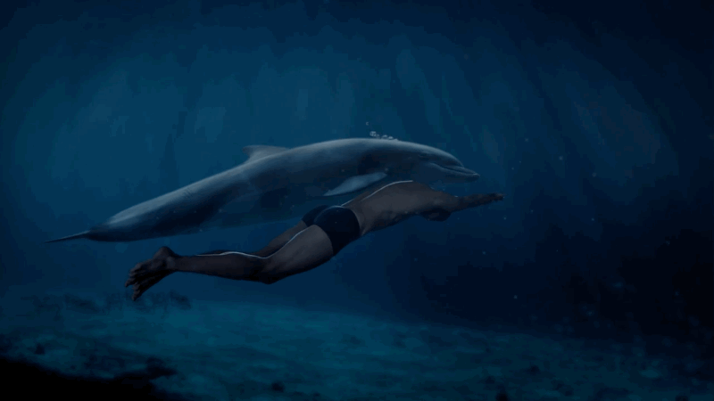 Man Dolphin Sex 102