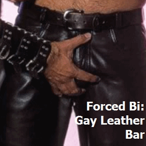 Gay Leather Mov 20