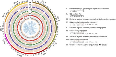 characteristics of the citrus genomes the distribution of