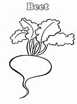 Coloring Pages Beets Beetroot sketch template