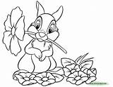 Thumper Coloring Bambi Pages Flower Disney Printable Color Mouth Disneyclips Print Funstuff sketch template