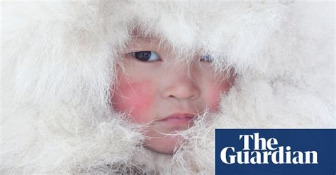 traditional life   siberian arctic  pictures world news