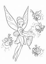 Firefly Coloring Getcolorings sketch template