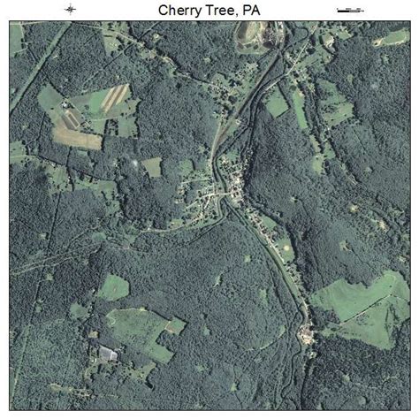 aerial photography map  cherry tree pa pennsylvania