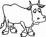 Cow Coloring Pages Cartoon Color Dairy Fil Chick Template Drawing Farm Getdrawings Getcolorings Printable sketch template