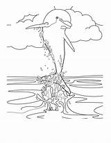 Dolphin Coloring Pages Printable Kids sketch template