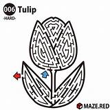 Maze Tulip Hard Difficult Mazes Puzzle Medium Red Category Kids Adult Coloring Pages Child sketch template