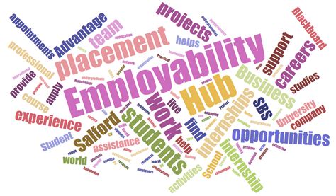 reasons  students    work placement