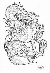 Tattoo Dragon Tattoos Stencils Designs Dragons sketch template