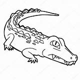 Crocodile Krokodil Kleurplaten Tekenfilm sketch template