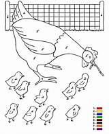 Nummer Boerderij Nombor Kleur Ikut Hen Mewarna Ausmalbilder Zahl Nummern Mewarnai Colouring Bauernhof Poultry Worm Votes Segera Ecoloringpage Zo sketch template
