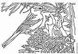 Vogel Colorare Nido Disegno Oiseau Nid Vogels Coloriage Uccellino Ausmalbilder Ausmalbild Ausdrucken Passero Cincia Pettirosso Uccelli Averla sketch template