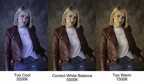 white balance basics  mini guide  photographers improve photography