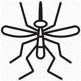 Gnat Icon Bug Midge Mosquito Clipart Insect Pest Fly Clipartmag sketch template