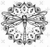 Dragonfly Redbubble Libellen Kids Complémentaires sketch template