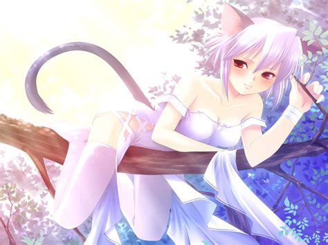 [46 ] neko girl wallpaper wallpapersafari