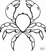 Crabe Ausmalbilder Crab Krabbe Bleu sketch template